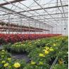 Buy cheap Single-Arch Greenhouse for Flower Farming Boost Your Flower Production from wholesalers