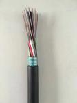 288 Cores Outdoor Armoured Cable Duct Optical Fibre Cable GYTA