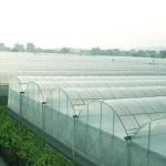 Customization Option Juxiang Hydroponic System Vegetable Cultivation Film