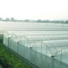Buy cheap Customization Option Juxiang Hydroponic System Vegetable Cultivation Film Greenhouse from wholesalers