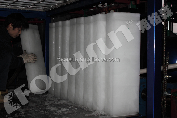 1T 2T 3T 5T 10T 15T 18T Containerized Block Ice Plant With Imported Compressor