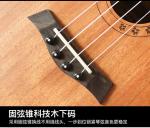 Wholesale TL electric guitar neck replacement Nature 21 Fret Tiger flame maple