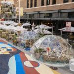 Customized Logo 2.9m Igloo Dome Tent Transparent PVC For Garden House
