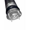 Buy cheap Car Spare Parts Air Shock Absorber Air Suspension Shock For Range Rovers 2014 LR056924 LR056926 from wholesalers
