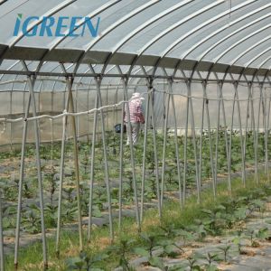 Buy cheap Large IGreen Agricultural Greenhouses Materials Shade Cloth Greenhouse with No product