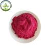 Buy cheap cranberry juice powder buy best health benefits supplement powdered cranberry products drink from wholesalers
