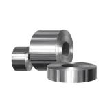 Cold Rolled Ss AISI 304 316 309s 310s 18mm Stainless Steel Strips