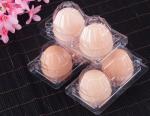 disposable Frozen Food PET PP Plastic Packing Trays For Meat,Suchi Party Food