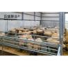 Buy cheap Sandwich Panel/Roofing Steel Sheet Prefab Livestock Barn for Sheep Goat Cattle Cow from wholesalers