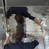 Buy cheap Embossed Stainless Steel Panels Rose Gold Mirror Finish For Facade Wall Cladding Curtain Wall Ceiling 201 304 316 from wholesalers