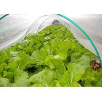 Buy cheap 50X35 Plastic Wire Mesh 100g/M2 Anti Insect Net For Greenhouse product