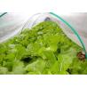 Buy cheap 50X35 Plastic Wire Mesh 100g/M2 Anti Insect Net For Greenhouse from wholesalers