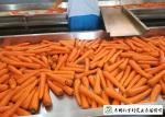 HACCP / GAP Standard Fresh Organic Carrots Own Plantation Supply To Supermarket