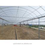 8m Span Width Multi Span Agricultural Commercial Tomato Greenhouse with Cooling
