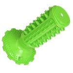 Professional Manufacturer Supply Classical Tpr Dog Squeaky Sounding Toothbrush