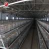 Buy cheap Q235 Battery Cages Laying Hens Chicken Farming Materials A Type from wholesalers