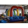 Buy cheap Durable Commercial Inflatable Water Slides , Cute Dolphins Cartoon Long Water Slip N Slide from wholesalers