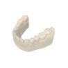 Buy cheap Orthodontic Modeling Resin Dental 3d Printing Resin Realistic from wholesalers