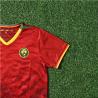 Buy cheap 2025 Cameroon Children Away Football Jersey Customized Team Uniforms from wholesalers