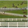 Buy cheap 3 Rails 4 Rails White Vinyl Farm Fence For Livestock from wholesalers