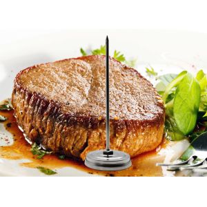 Buy cheap Durable Oven Safe Instant Read Thermometer Meat Cooking Thermometer FDA from wholesalers