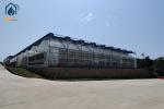 Large Film Tunnel Vegetable Hot House Multi Span Tomato Watermelon Greenhouse