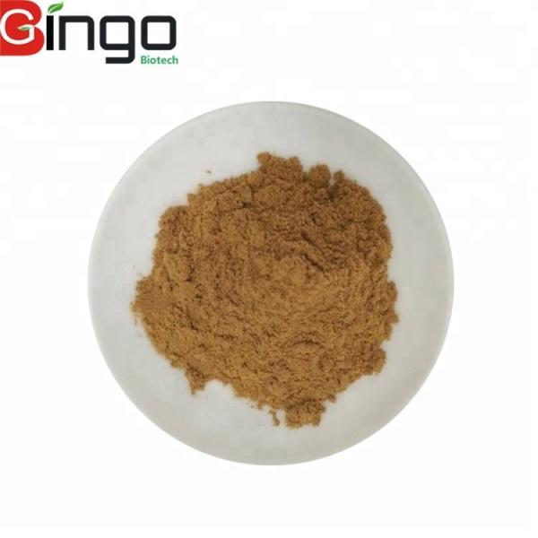 Buy cheap Radix Notoginseng P.E./Pseudo-ginseng/san qi Herbal Dietary Supplement from wholesalers