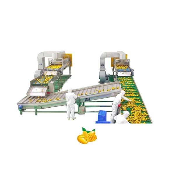 Buy cheap Automatic Mango Processing Line Juice Machine Industrial Commercial from wholesalers