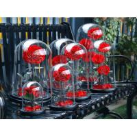 Buy cheap Hot Selling Preserved Rose with Glass Dome Mini Artificial Flowers Preserved product