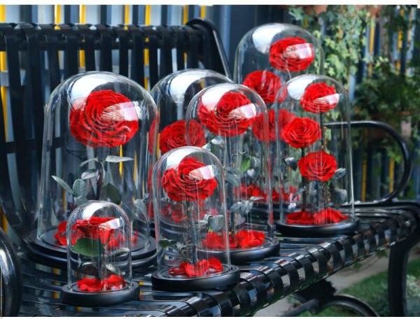 Hot Selling Preserved Rose with Glass Dome Mini Artificial Flowers Preserved