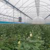 Buy cheap Hot Dip Galvanized Steel Plastic Multispan Greenhouse For Four Seasons Planting from wholesalers
