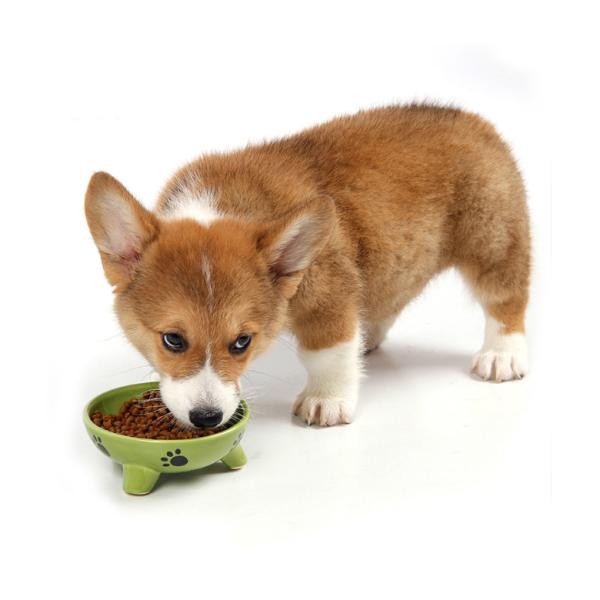 Quality Ceramics Pet Food Feeder Rounded Shape For Gift / Home Decor / Souvenir for sale