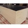 Buy cheap Waterproof Plywood for Construction/ brown film faced plywood/High quality film faced plyw from wholesalers