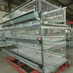 Auto Farm Battery System In Poultry , HDG 150/200 Chicken Broiler Equipment