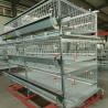 Buy cheap Auto Farm Battery System In Poultry , HDG 150/200 Chicken Broiler Equipment from wholesalers