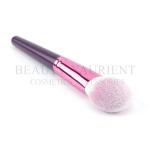 Multifunctional Powder Makeup Brush Compact Blush Brush Daily Makeup