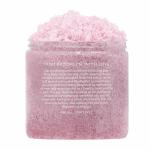 Blueberry Skin Care Body Scrub , Detoxifying Lightening Body Scrub Fit All Skin