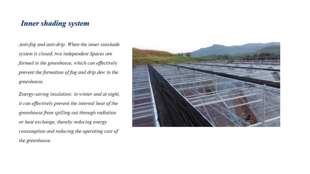 Intelligeng and Agricultural Glass Greenhouse Aquaponics Vegetable Multi-Function Glass Greenhouse