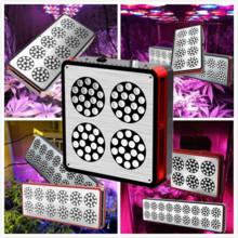 Buy cheap New apollo horticulture 300w 600w 800w 900w 1000w High Power full spectrum plant led grow from wholesalers