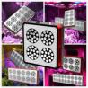 Buy cheap Led Grow Herbs Light Organic Gardening Soil growing grow,Fluorescent Grow Light from wholesalers