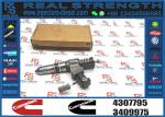 Diesel High Quality 4307795 Common Rail Injector 4307795 Auto Parts Injector
