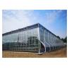 Buy cheap Large Venlo Glass Greenhouse Ideal Solution for Vegetable Cultivation Turnkey Project from wholesalers