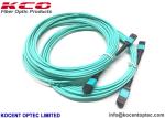 12fo 24fo MM OM3 OM4 50/125 MPO MTP Optical Fibre Patch Cable