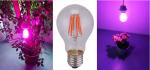 A60 Pink White LED Plant Grow Lights 660nm 8w Filament LED Bulb