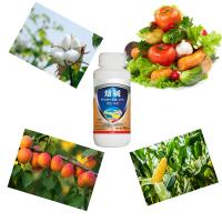 Buy cheap Insect Biocides 10% Nicotine AS Aphid Spray For Vegetables Cabbage product