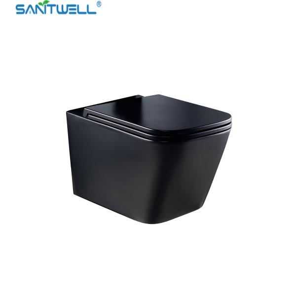 Buy cheap Wall Hung Toilets Sanitwell SWJ0525MB Bathroom WC white toilet bowl rimless flush from wholesalers