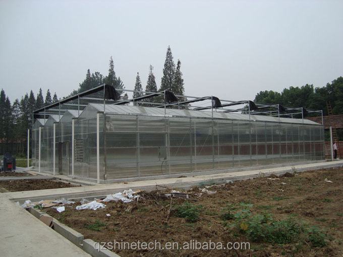 Sturdy And Large Greenhouse Agriculture Polycarbonate With Galvanized Steel Frame