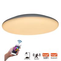 Buy cheap Motion Activated LED Ceiling Lights product