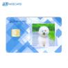 Buy cheap Enterprise PVC Smart Card , Contactless Chip Card With Half Color Photography Process from wholesalers