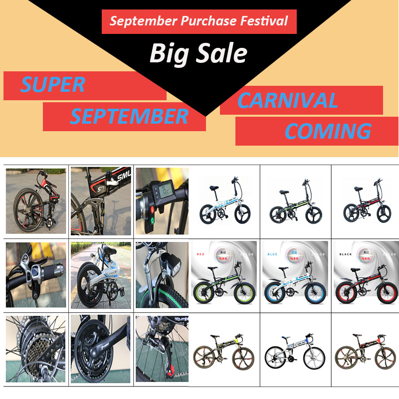 350W 500W Motor 20 Inch Electric Bike LCD Display Rear Drive Motor